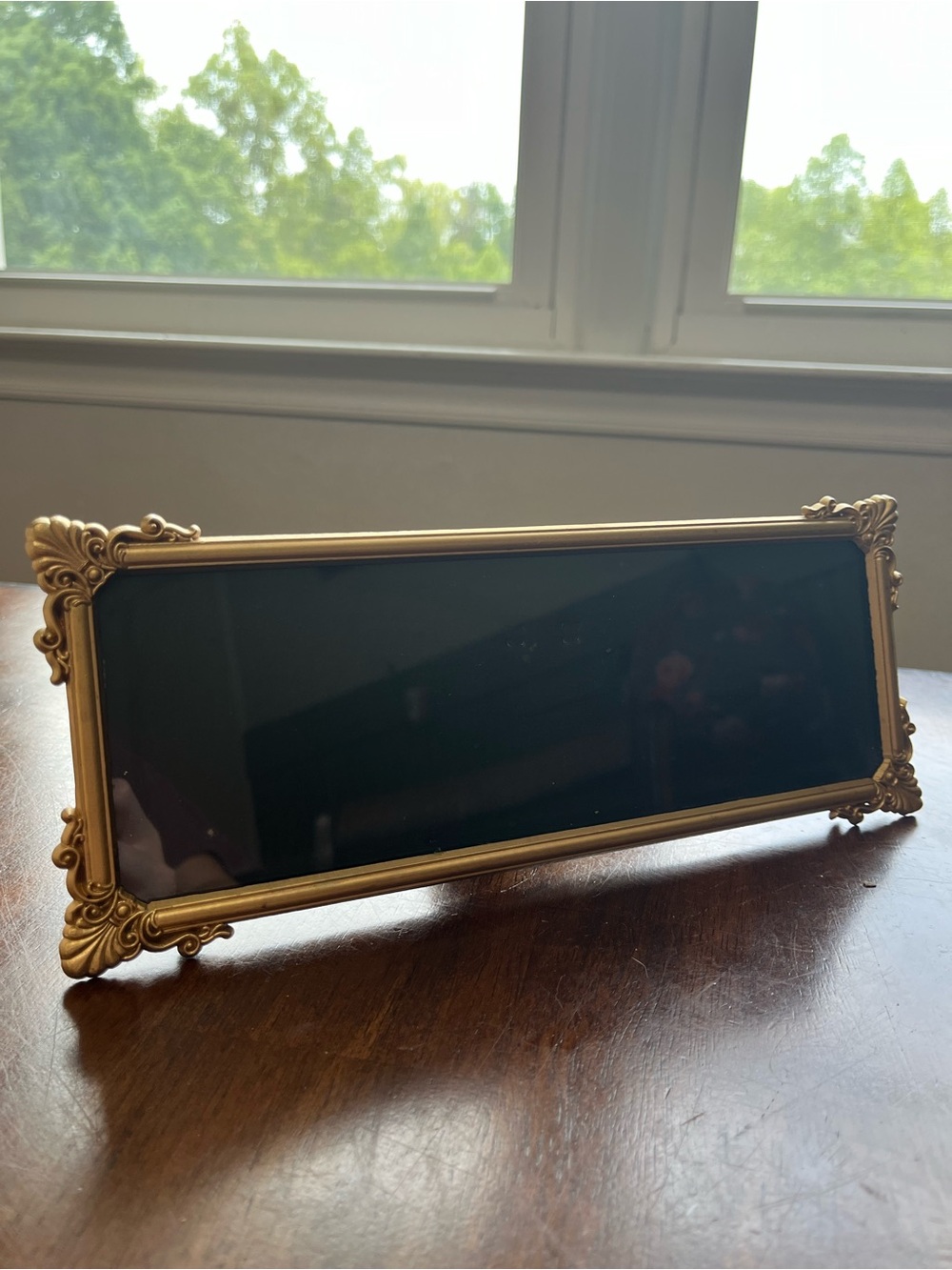 Panorama 3 x 10 inch vintage picture frame